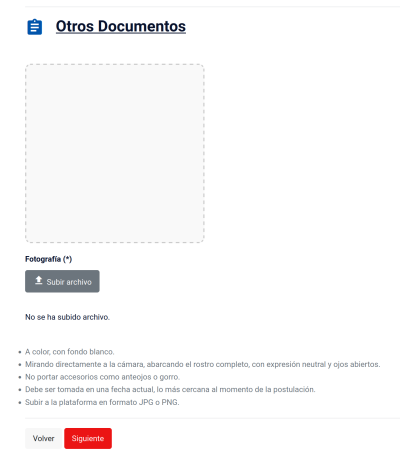 Необходимо выгрузить фото, сделанное в день подачи документов как можно ближе к моменту выгрузки: цветное, на белом фоне, полностью должно быть лицо, выражение нейтральное, глаза смотрят прямо, не допускаются аксессуары (шапка, очки). Формат - JPG или PNG. Желательно, чтобы оригинальное фото с камеры не подвергалось редактированию.
