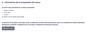 Dependiente Menor 6-6 Sin acompanante.png