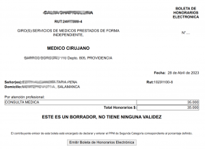 3 Boletas de honorarios. Borrador.png